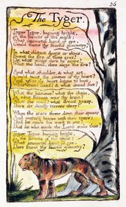 The Tyger ، اللوحة 36 (Bentley 42) من "Songs of Innocence and of Experience" (Bentley Copy L) 1789-94 (النقش البارز بالقلم ومرحاض) بواسطة وليام بليك